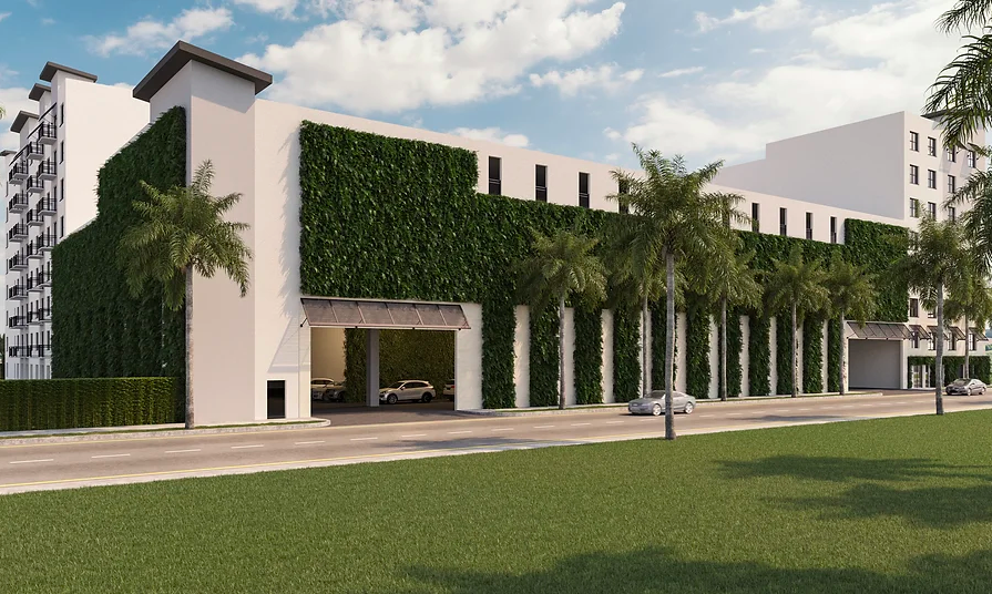 Palmera 1